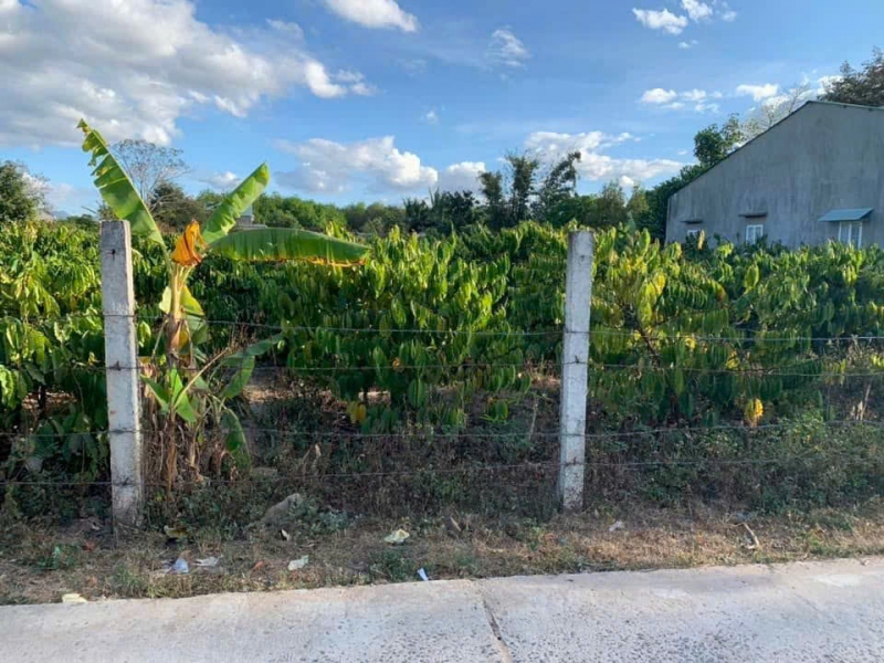 Bán đất xã Ia Chim, Tỉnh Quảng Ngãi