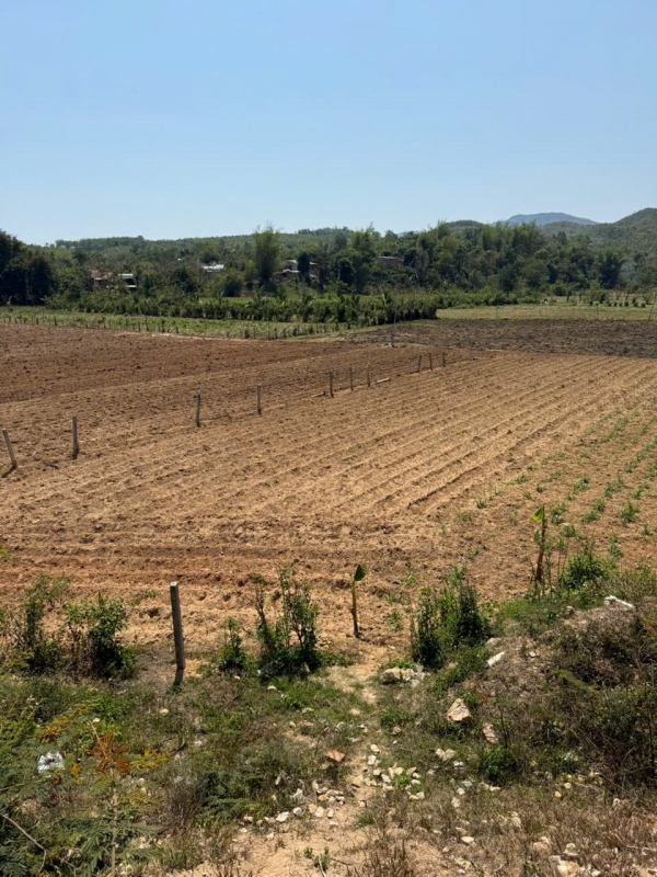 Bán đất thôn Kon Tum Kơ Pơng 2, Xã Đăk Rơ Wa, Tp. Kon Tum