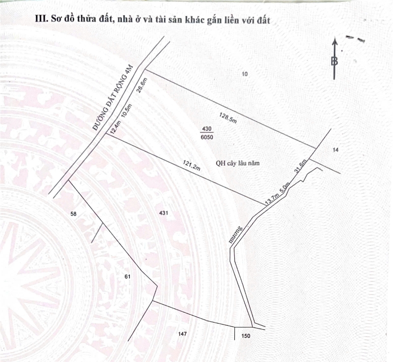 Bán rẫy cao su Đắk Rơ Wa, Kon Tum